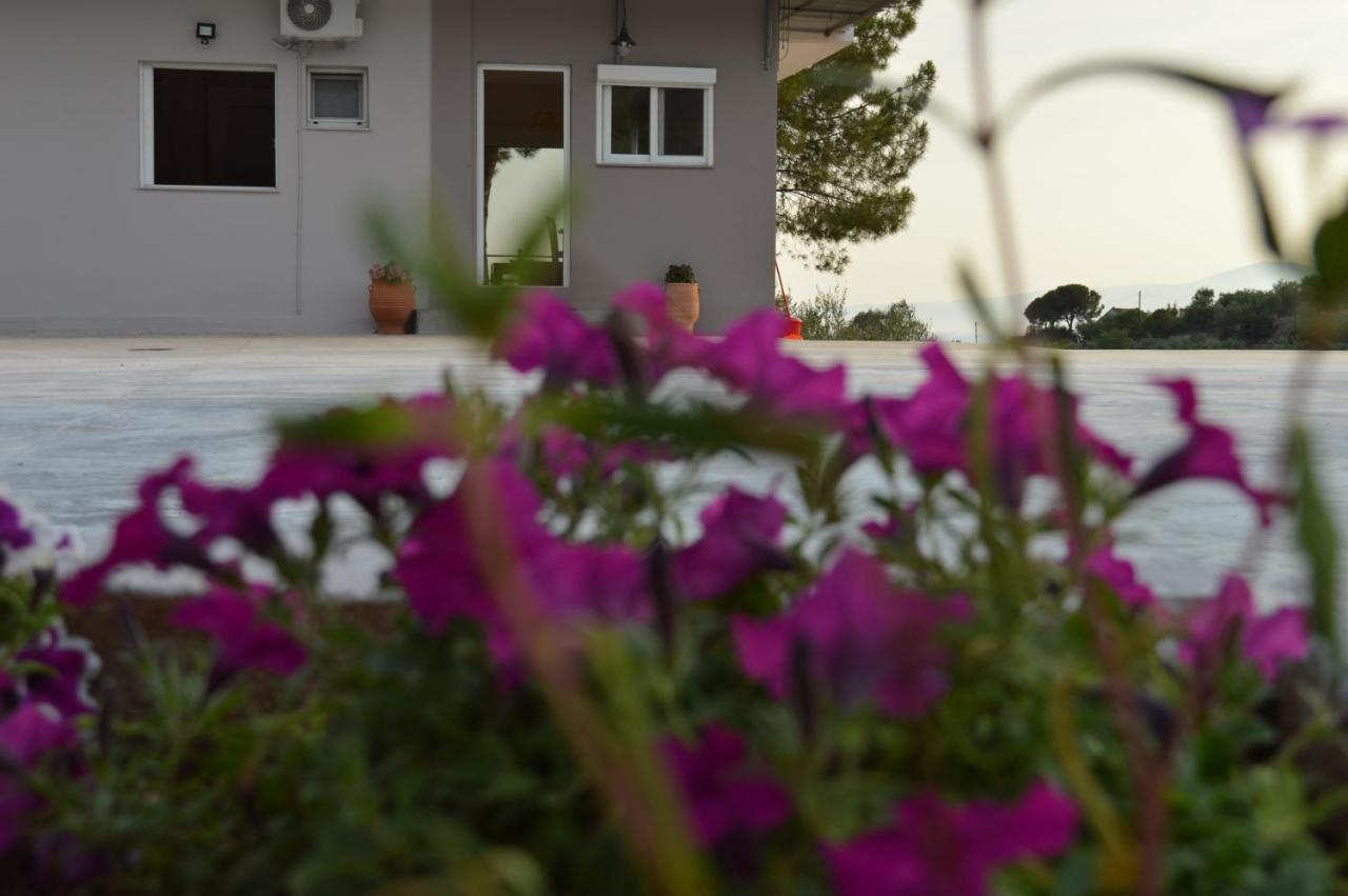 Bilines Apartment Kalamata